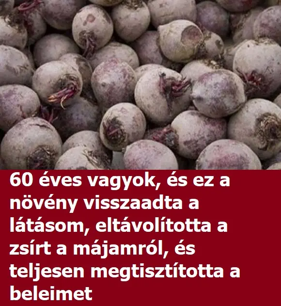 cekla cekla