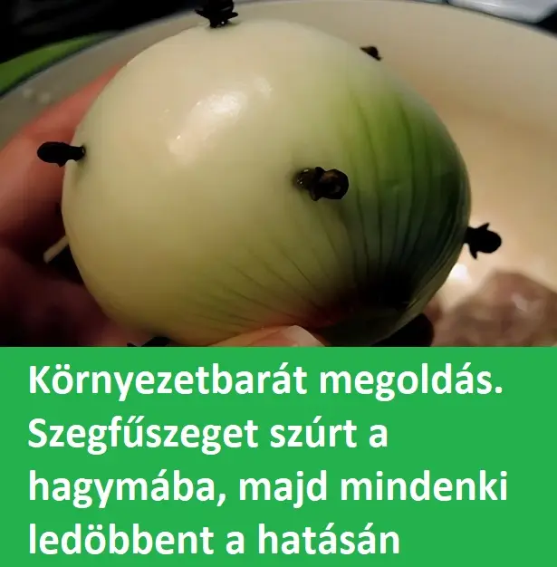 szegfuszeget szurt a hagymaba23344