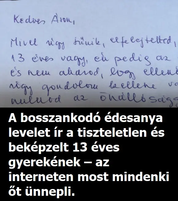 13evesfiu1