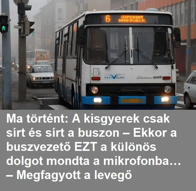 busz.435354jpg