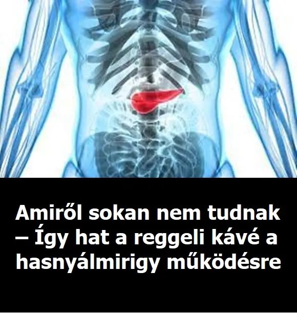 hasnyalmirigy