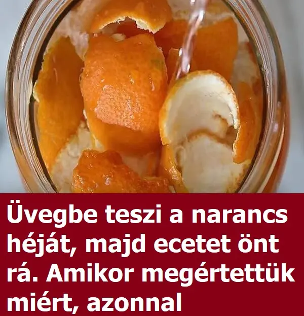 narancs381