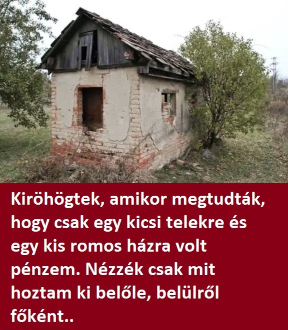 romhaz83461 n
