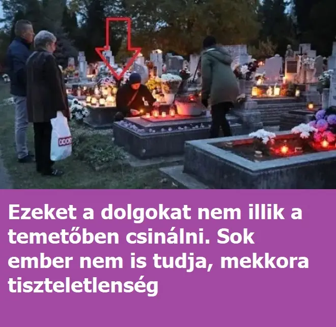 temeto 211