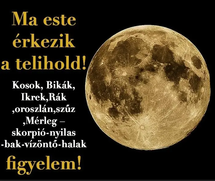 telehold08 20250211 185342