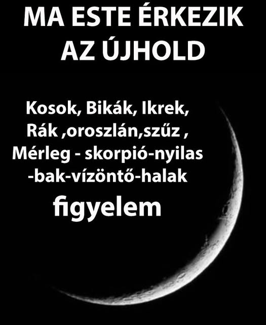 ujhold 2702391820452381856 n