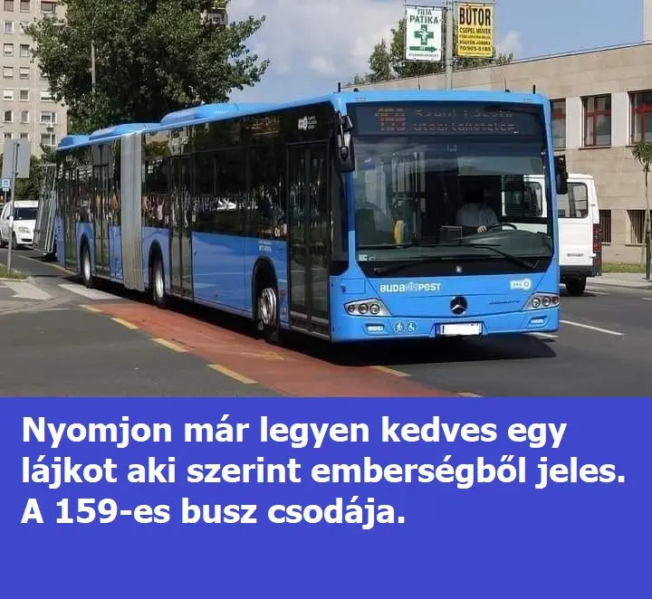 158buszcsodaja 9136301553500907690 n