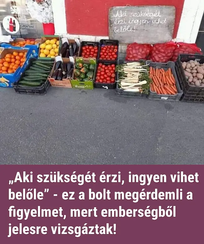 ingyenvihetbelole07 n
