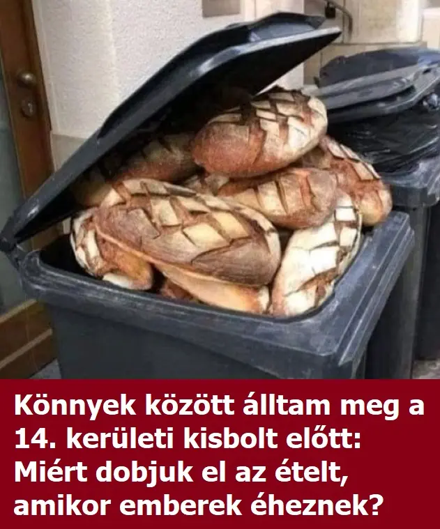 kenyeraztucan03995 n