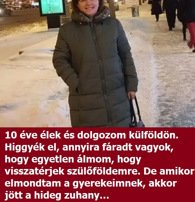 külföldönelek6747990 n 526x381